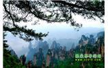【純玩獨立成團線路1】張家界、袁家界、天子山、寶峰湖/黃龍洞二晚三日