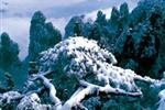【純玩散拼線路17】張家界、天子山、芙蓉鎮(zhèn)、猛洞河漂流、鳳凰古城三晚四日游